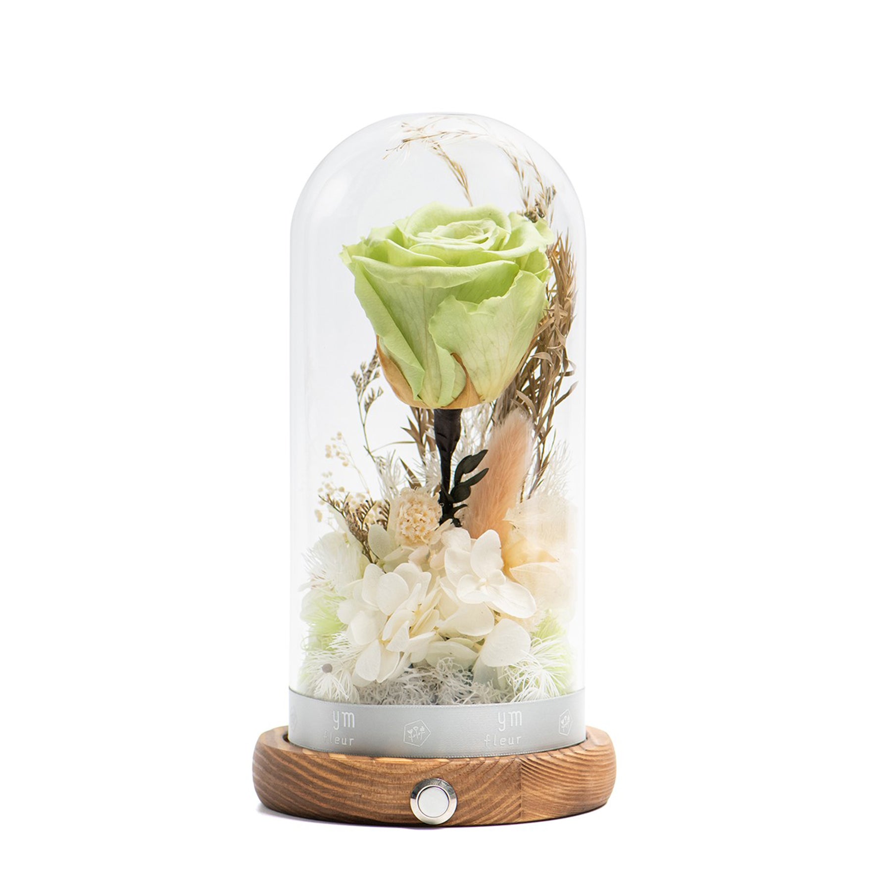 保鲜花及干花玻璃瓶 - 花影桃源 (绿色)