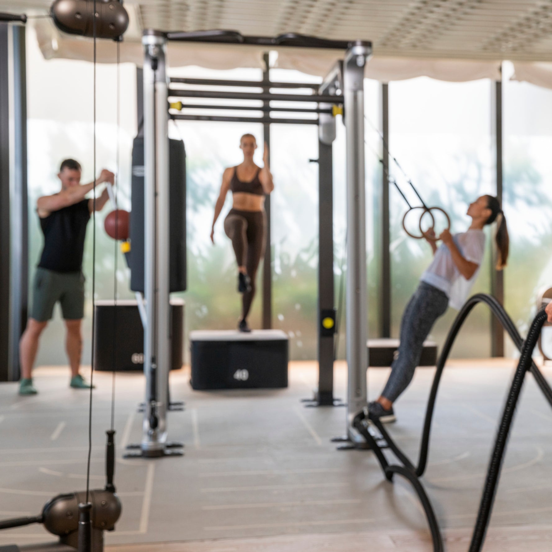 Asaya Summer Move (Two-Month Membership)