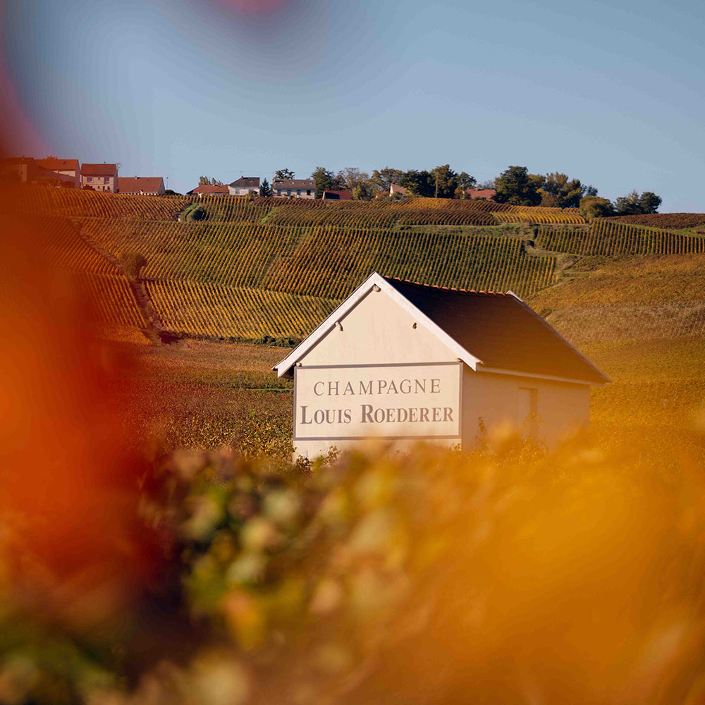 Louis Roederer Champagne Dinner