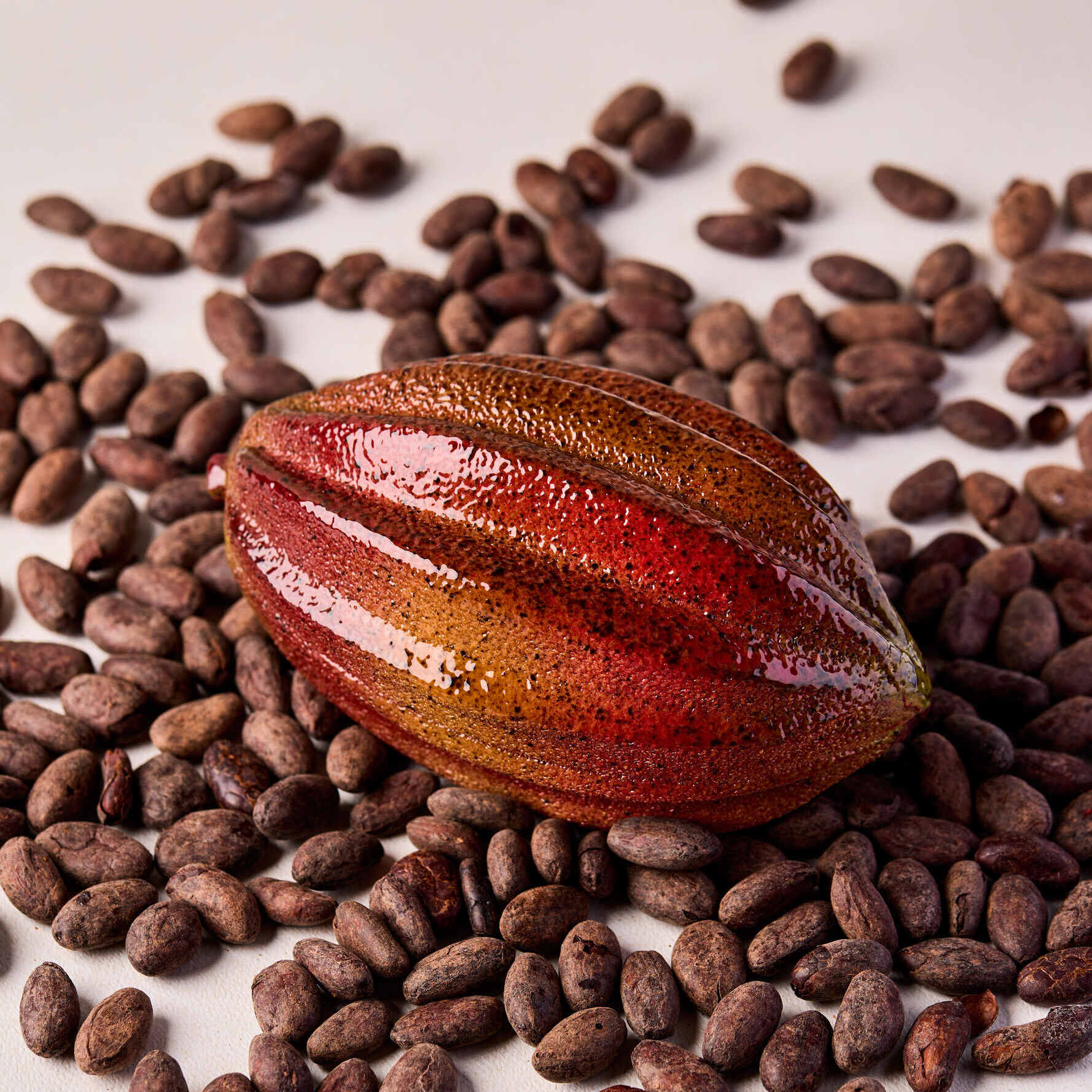 Butterfly Patisserie x Valrhona Cocoa Hazelnut Cake
