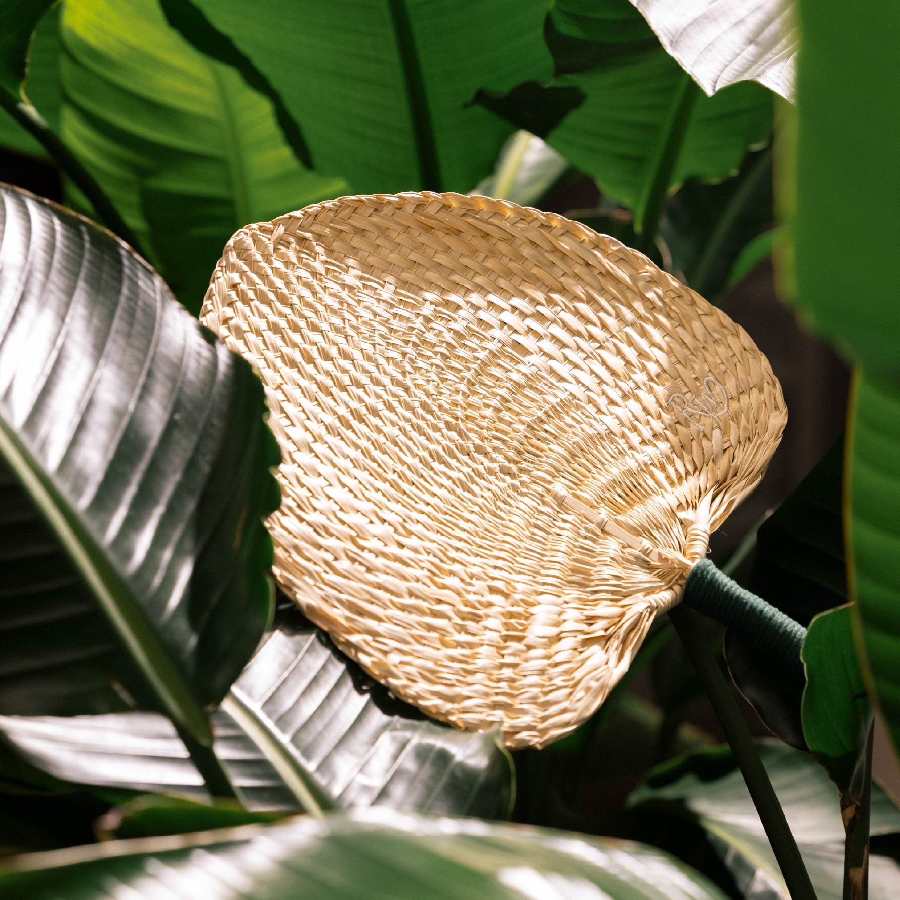 Straw Fan
