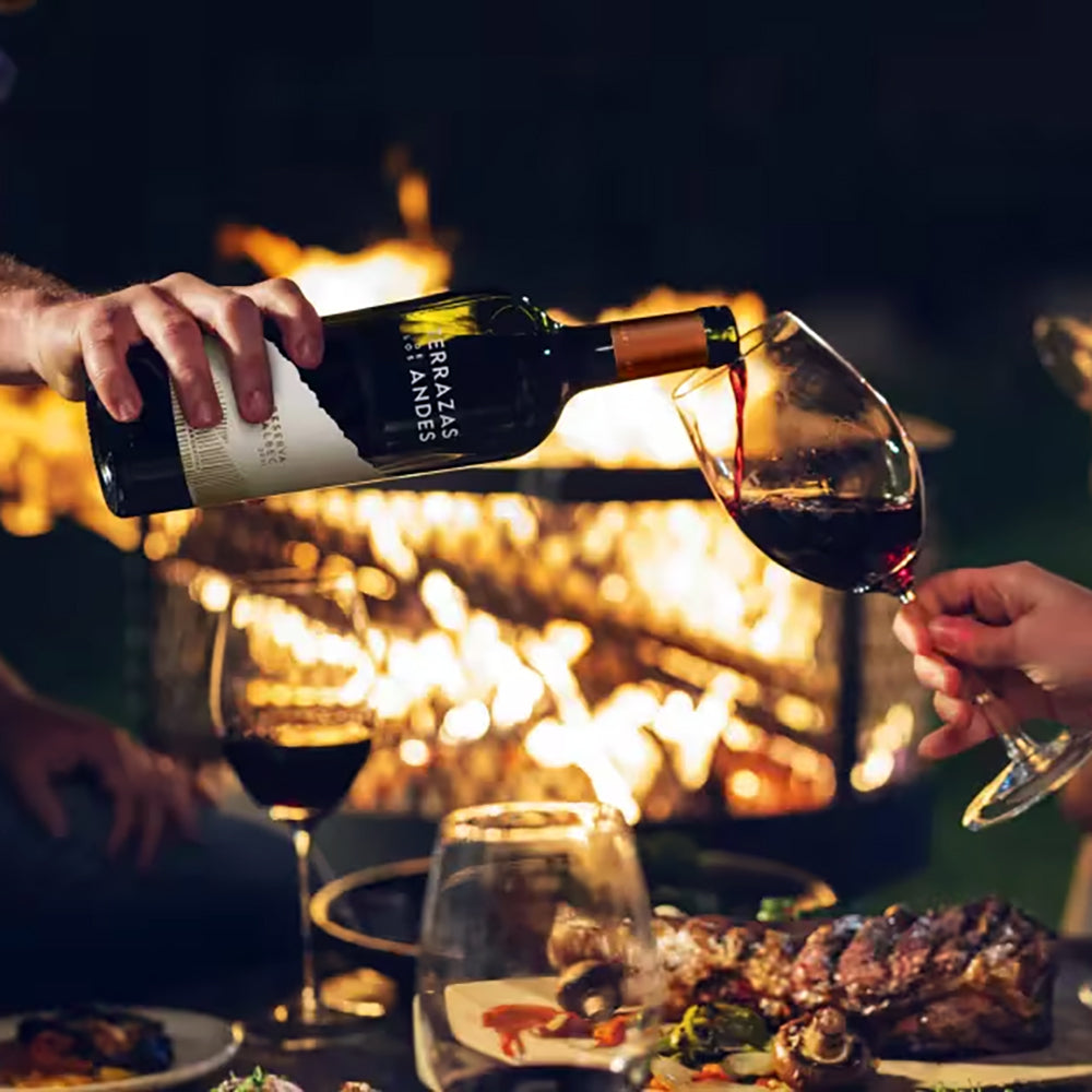 Terrazas de los Andes Wine Dinner