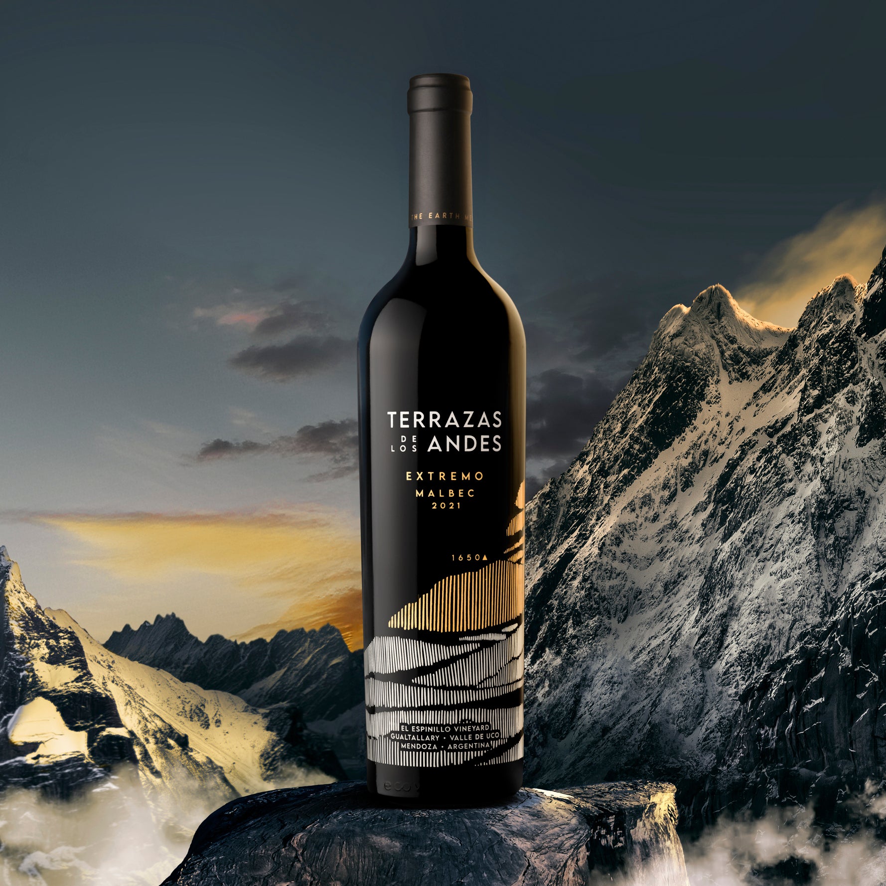 Terrazas de los Andes Wine Dinner