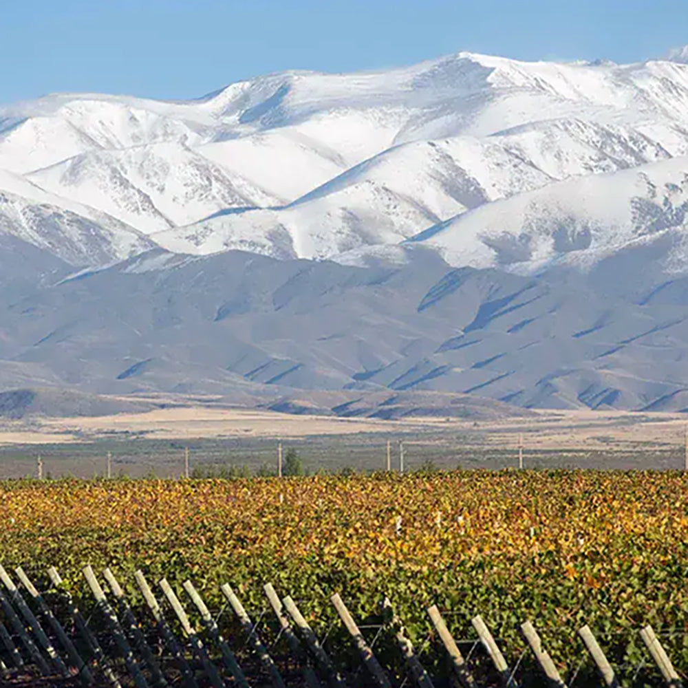 Terrazas de los Andes Wine Dinner