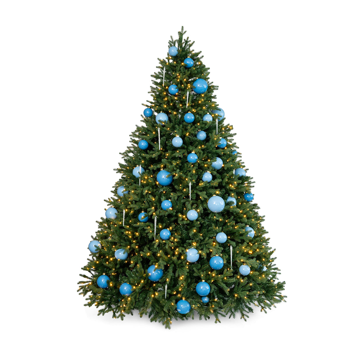 Rosewood Signature Noble Fir Christmas Tree