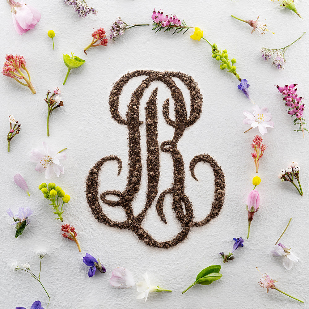 Louis Roederer Champagne Dinner