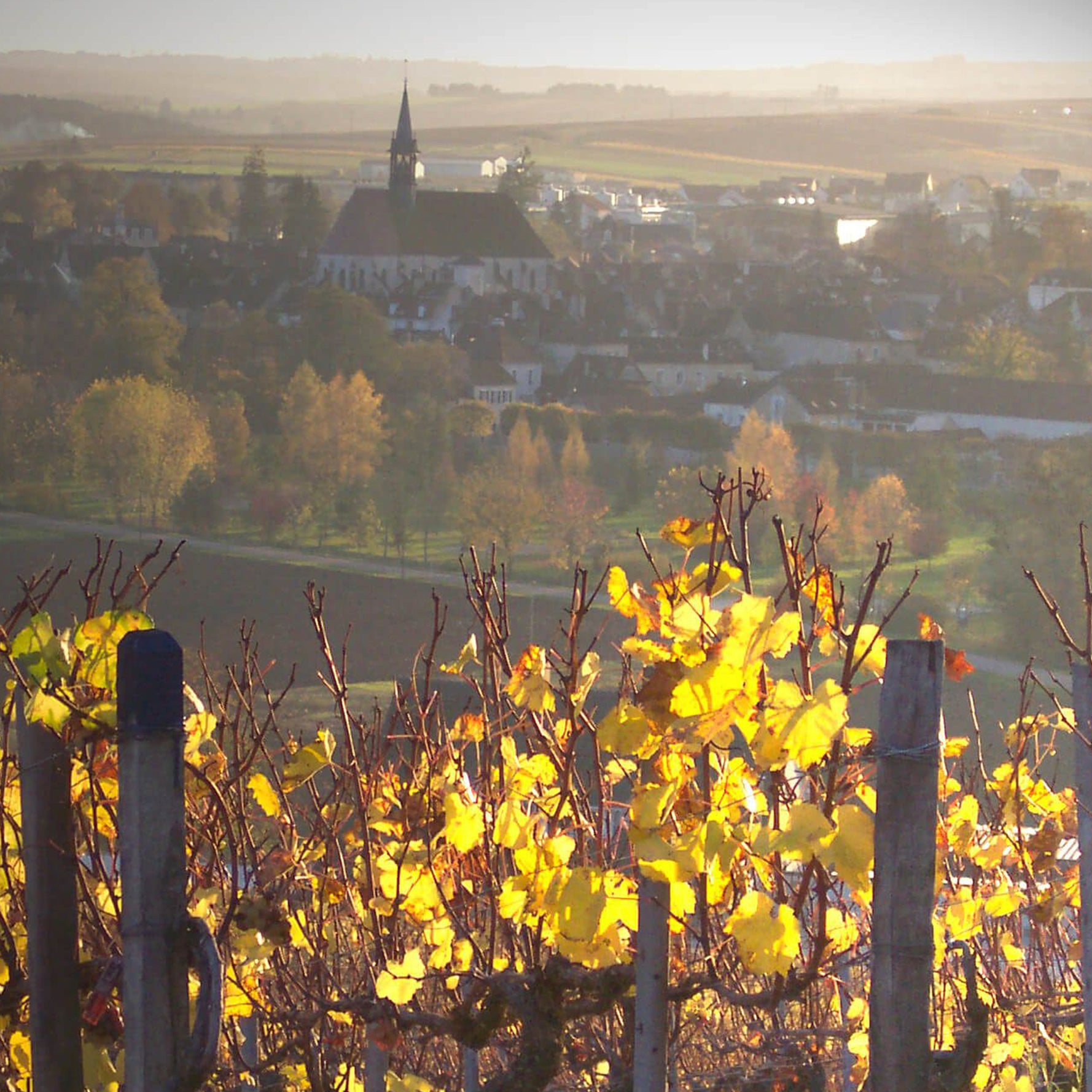 Grand Cru Wine Dinner: 200 Years of Domaine Faiveley, Burgundy, France