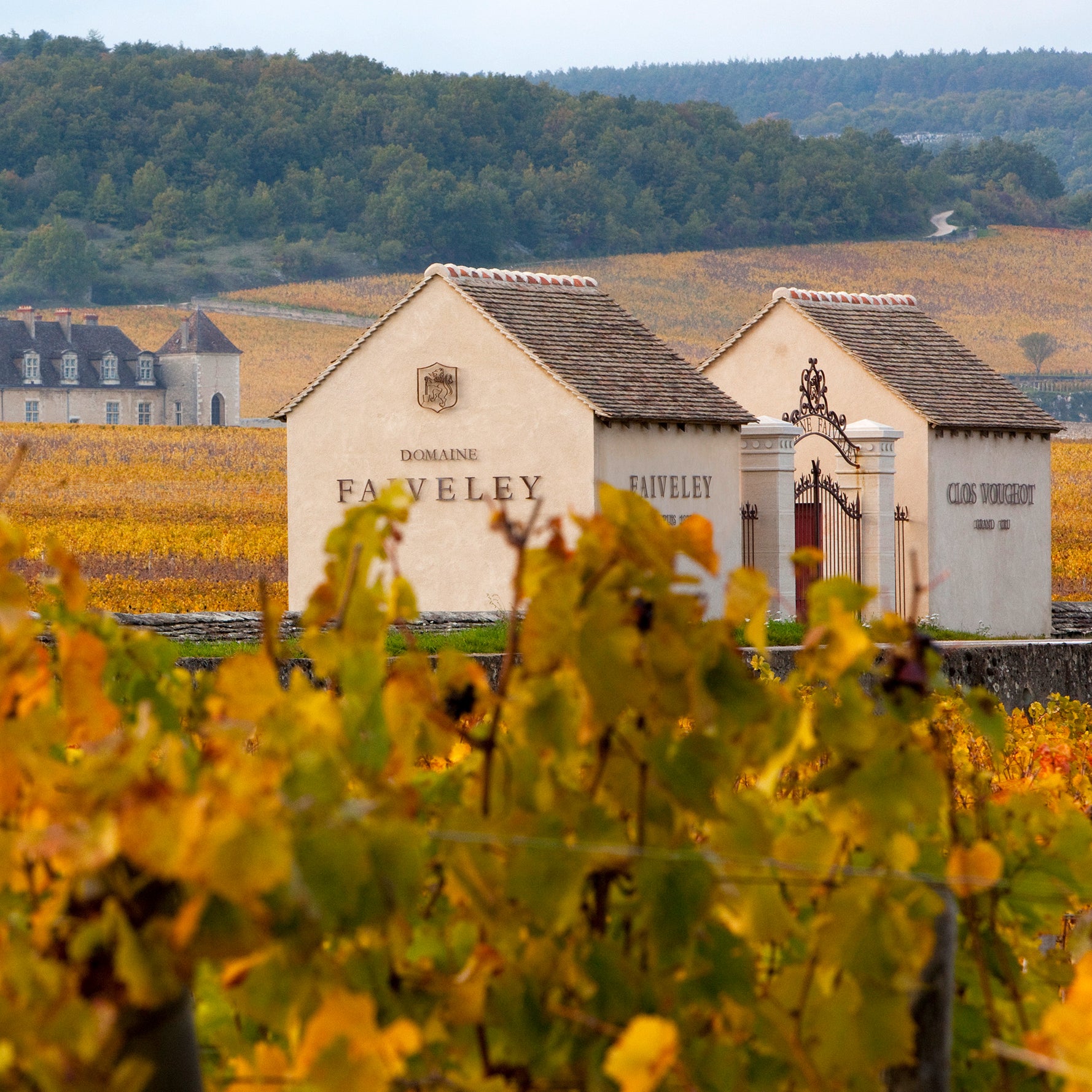 Grand Cru Wine Dinner: 200 Years of Domaine Faiveley, Burgundy, France